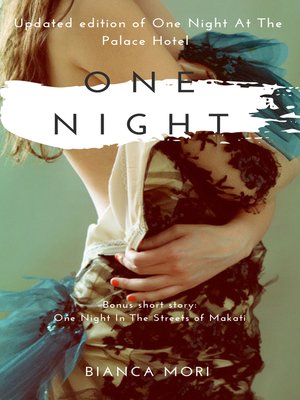 cover image of One Night At the Palace Hotel